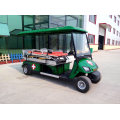 China Hot Selling Zhongyi 2020 New Design 6 Seaters Golf Carts Golf Buggy